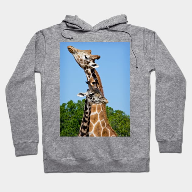 Giraffes Hoodie by StacyWhite